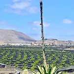 Volcano View *
