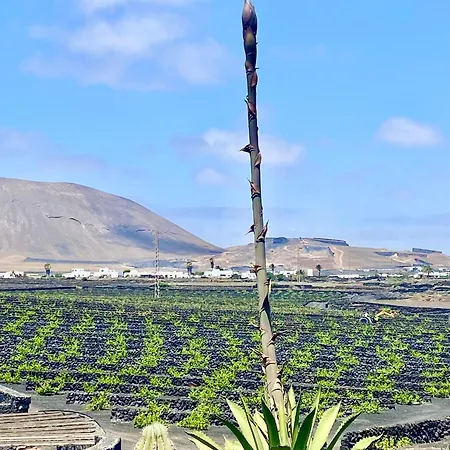 Volcano View *
